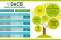DeCS 2024 Edition is now available online